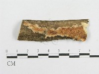 登錄號:F0003633藏品圖，第1張