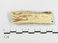 登錄號:F0003633藏品圖，第3張