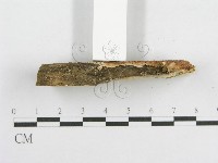 登錄號:F0003633藏品圖，第4張