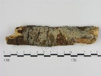 登錄號:F0003634藏品圖，第1張