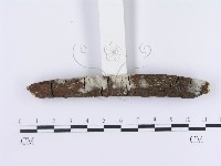 登錄號:F0003636藏品圖，第3張