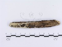 登錄號:F0003636藏品圖，第4張