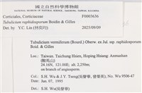 登錄號:F0003636藏品圖，第5張