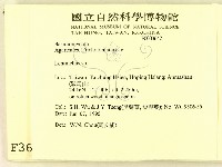 登錄號:F0003642藏品圖，第2張