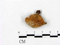 登錄號:F0003642藏品圖，第1張