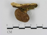 登錄號:F0003643藏品圖，第3張