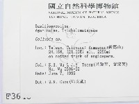 登錄號:F0003646藏品圖，第2張