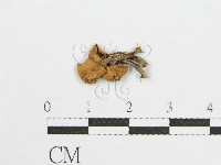 登錄號:F0003646藏品圖，第3張