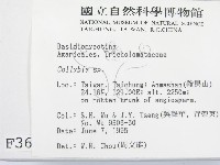 登錄號:F0003647藏品圖，第2張