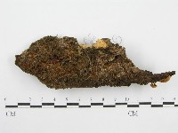 登錄號:F0003647藏品圖，第3張