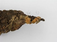 登錄號:F0003647藏品圖，第8張