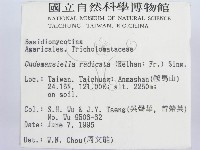 登錄號:F0003649藏品圖，第2張