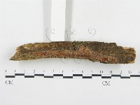 登錄號:F0003650藏品圖，第3張