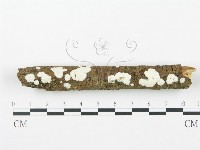 登錄號:F0003653藏品圖，第1張