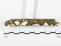 登錄號:F0003653藏品圖，第3張