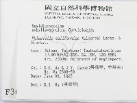 登錄號:F0003654藏品圖，第2張