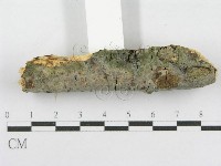 登錄號:F0003654藏品圖，第3張