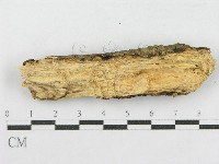 登錄號:F0003654藏品圖，第4張