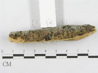 登錄號:F0003654藏品圖，第5張