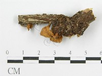 登錄號:F0003656藏品圖，第3張