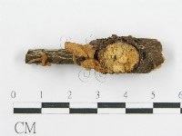 登錄號:F0003656藏品圖，第4張