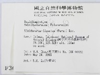 登錄號:F0003658藏品圖，第2張