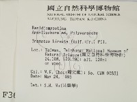 登錄號:F0003659藏品圖，第2張