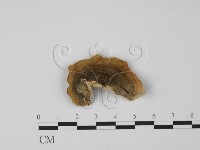 登錄號:F0003659藏品圖，第3張