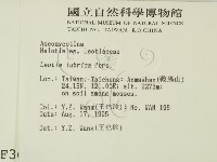 登錄號:F0003664藏品圖，第2張