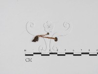 登錄號:F0003664藏品圖，第3張