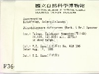 登錄號:F0003665藏品圖，第2張