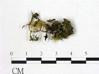 登錄號:F0003666藏品圖，第1張