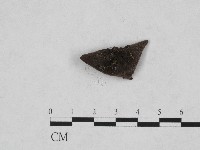 登錄號:F0003667藏品圖，第3張