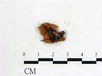 登錄號:F0003668藏品圖，第1張