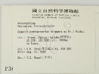 登錄號:F0003669藏品圖，第2張