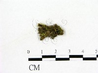 登錄號:F0003671藏品圖，第1張