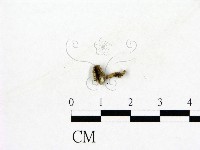登錄號:F0003672藏品圖，第1張
