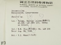 登錄號:F0003673藏品圖，第2張