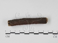 登錄號:F0003673藏品圖，第3張