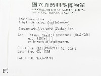 登錄號:F0003674藏品圖，第2張