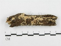 登錄號:F0003674藏品圖，第3張