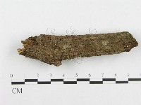 登錄號:F0003674藏品圖，第4張