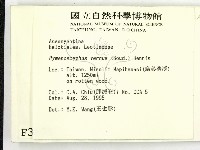 登錄號:F0003675藏品圖，第2張