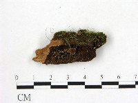 登錄號:F0003675藏品圖，第1張