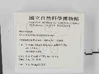 登錄號:F0003676藏品圖，第2張