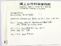 登錄號:F0003677藏品圖，第2張