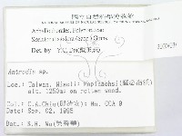 登錄號:F0003678藏品圖，第2張