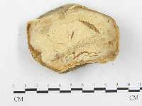 登錄號:F0003678藏品圖，第1張