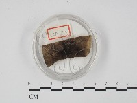 登錄號:F0003679藏品圖，第1張