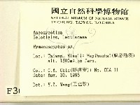 登錄號:F0003680藏品圖，第2張